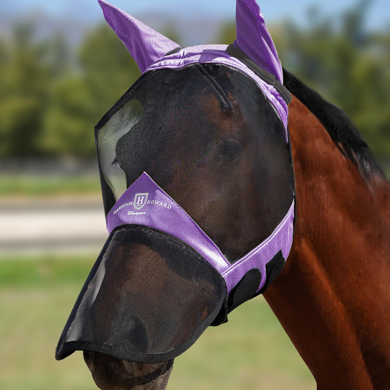 Masque anti-mouches cheval contre irritations Harrison Howard grand espace yeux XL