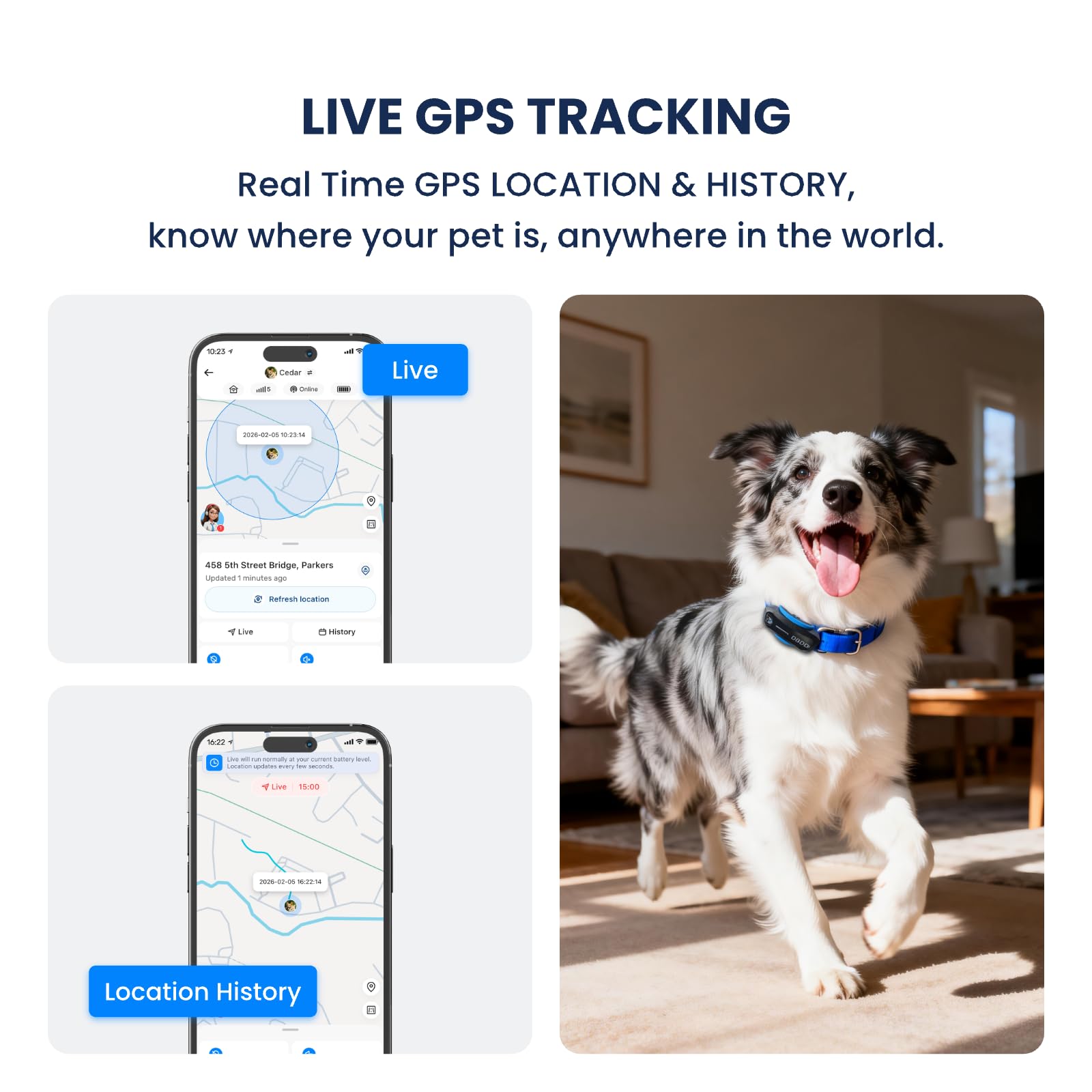 AI GPS Tracker for Dogs (40lbs+), Real Time Location and AI Vet Health Management, Electronic Fence, Waterproof, iOS and Android Universal（Black） - image 2