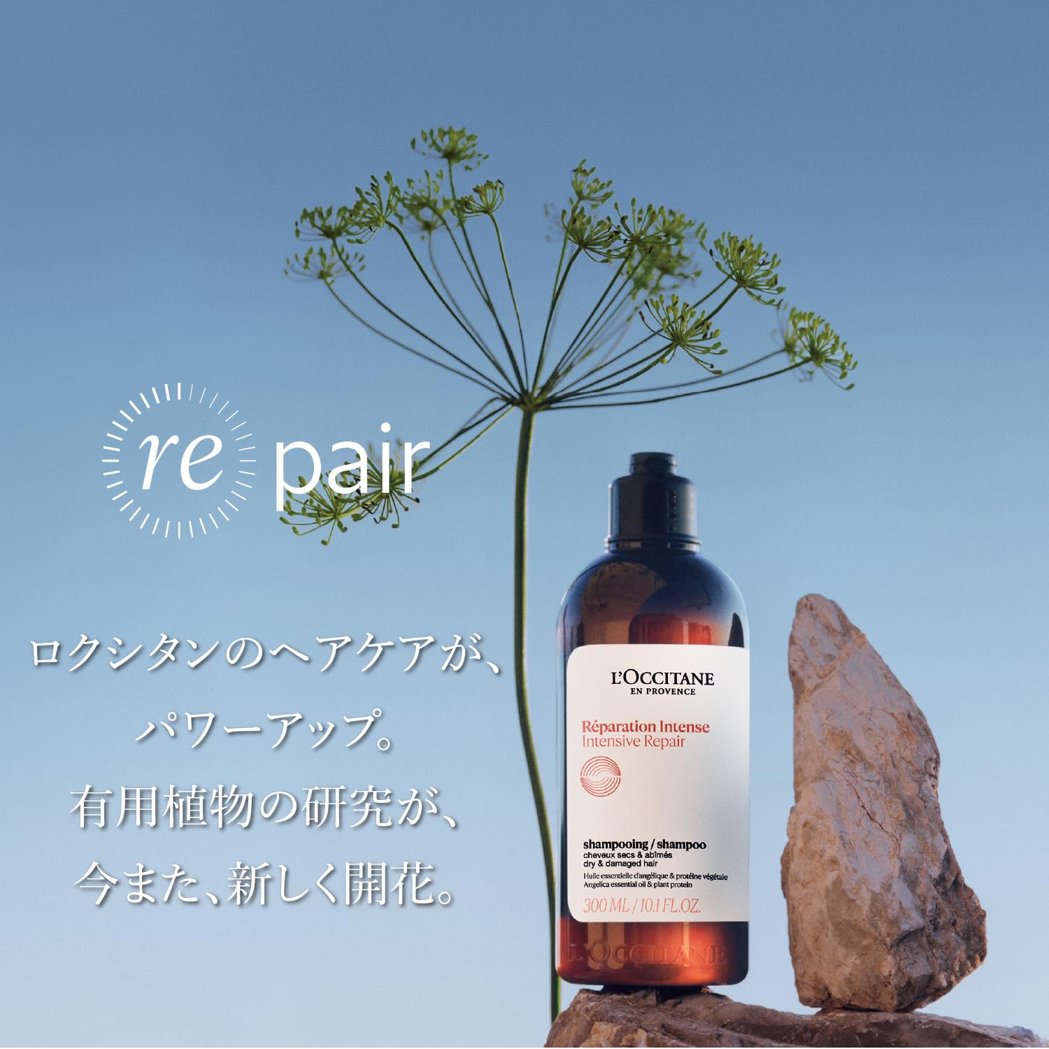 L'OCCITANE インテンシヴリペア シャンプー コンディショナー レフィル Amazon.co.jp: ロクシタン(L'OCCITANE) インテンシヴリペア レフィル