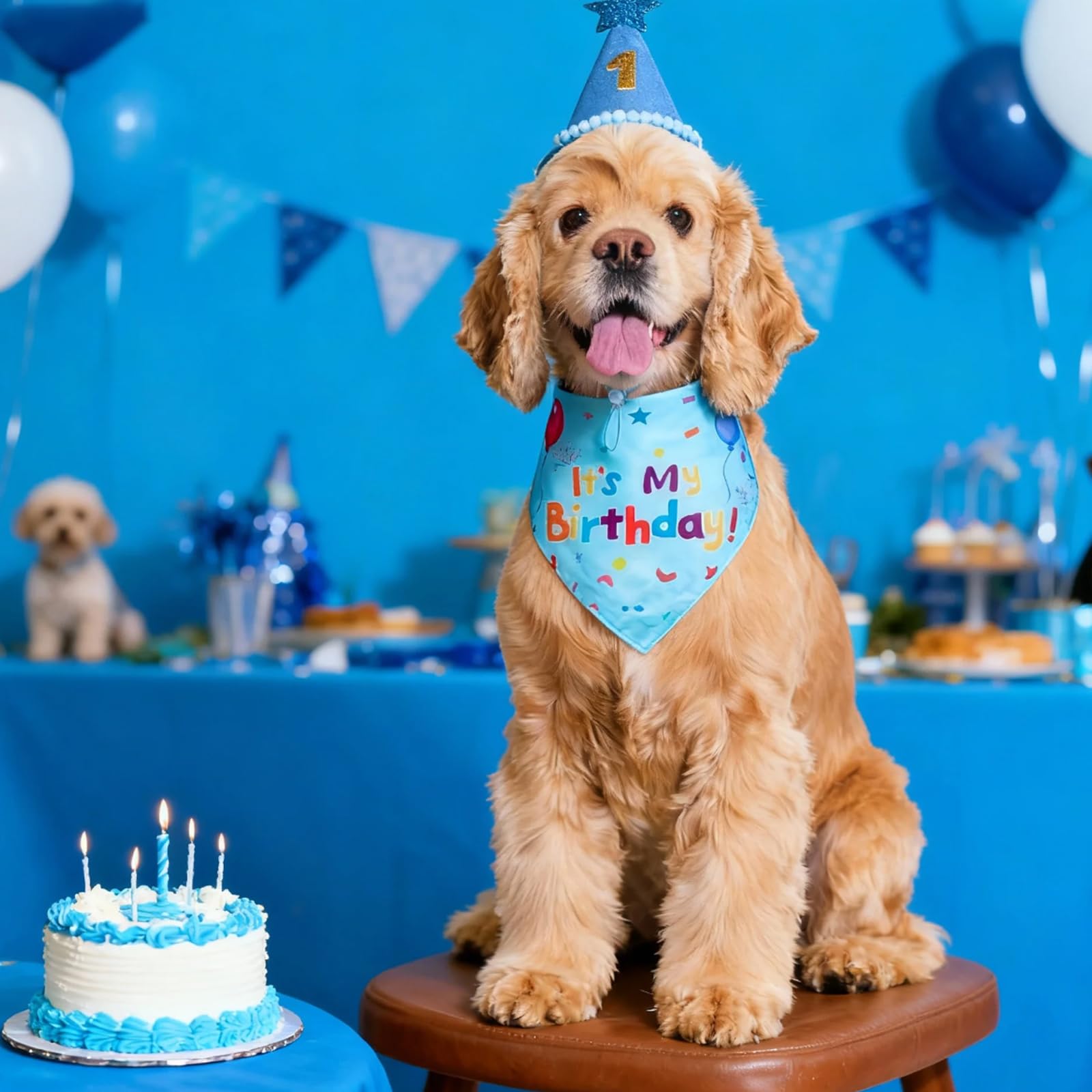 Cappello per Cani Compleanno con Bandana, 8 Numeri Bling Adesivi, Decorazioni Festa Cane 3 Pezzi