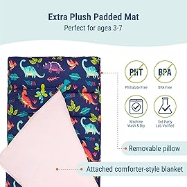 Wildkin Kids Original Nap Mat - Cozy Kids Sleep Mat with Pillow, Ideal for School & Travel - Darling Dinosaurs
