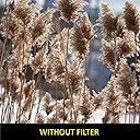 Tool for the Creative Photographer