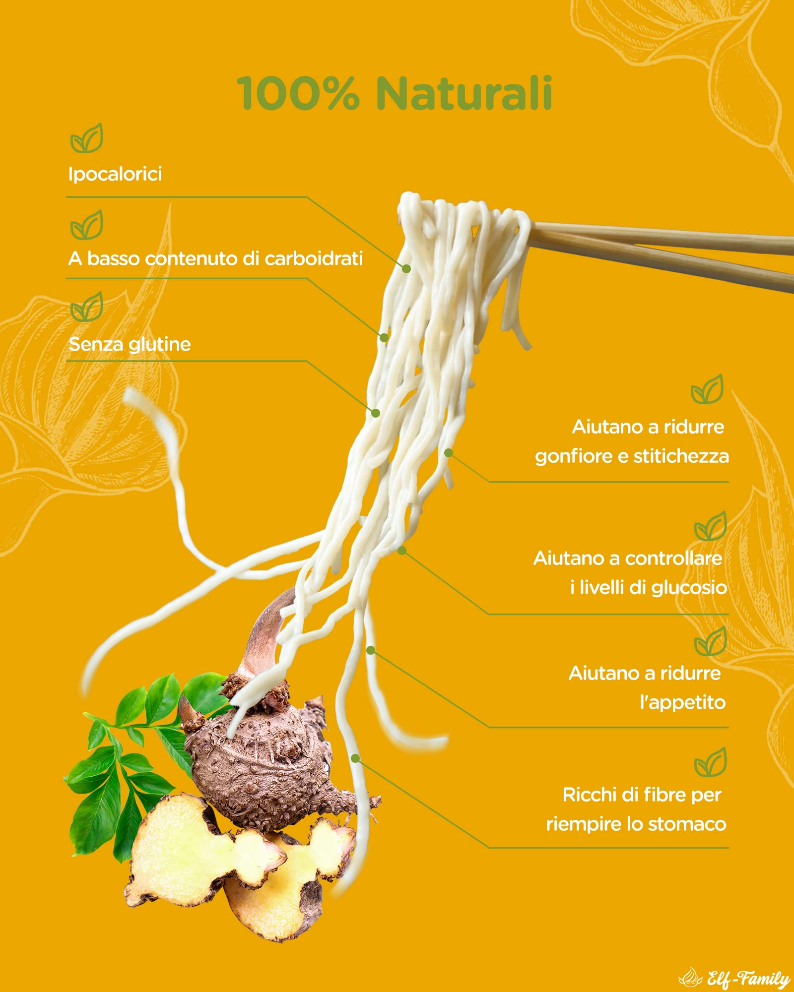 Elf-family Premium Pasta di Konjac Pochi Carboidrati- Vegano - 240g x6 Scatole(12 Porzioni), Shirataki Noodles Ipocalorica/Senza Zucchero e Glutine- Spaghetti & Fettuccine