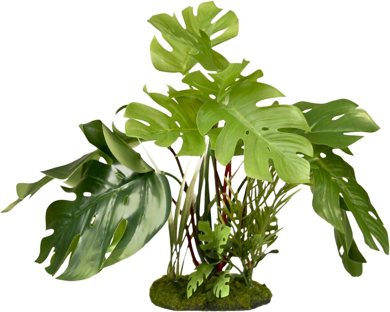 BLUE RIBBON PET PRODUCTS 030157017699 Colorburst Florals Split Leaf Philodendron, Green