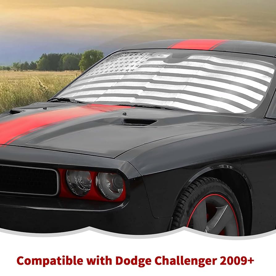 Amazon.com: RT-TCZ Windshield Sunshade Sun Shade Heat Shield