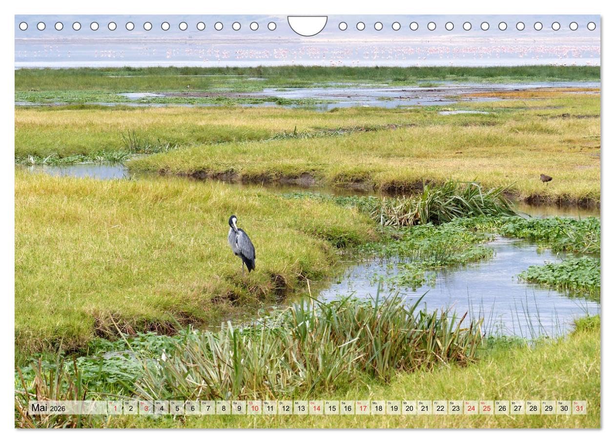 Tansania. Impressionen aus Ostafrika (Wandkalender 2026 DIN A4 quer), CALVENDO Monatskalender: Dieser Kalender nimmt Sie mit in das ostafrikanische ... Länder Afrikas. (CALVENDO Natur)