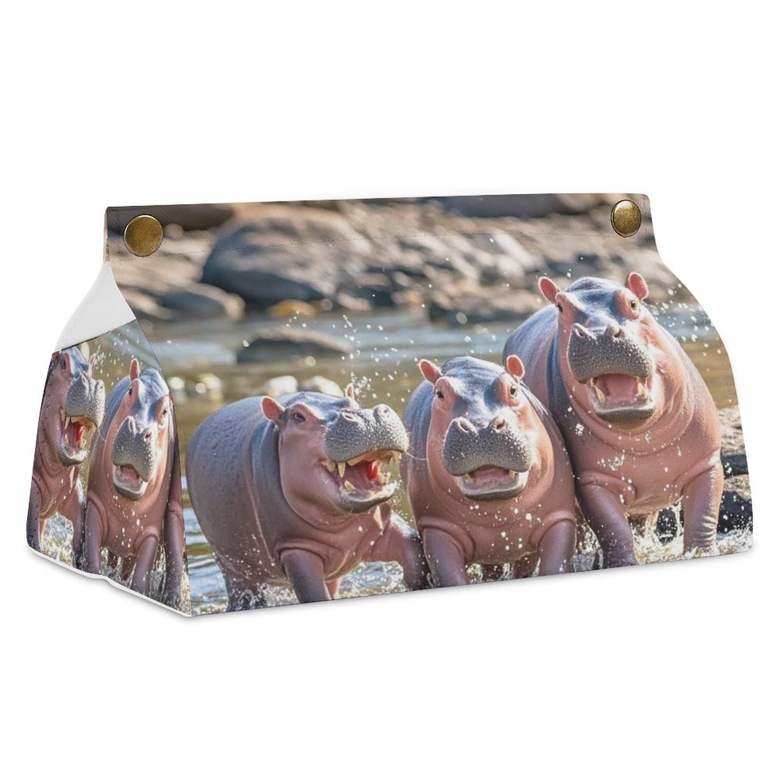 Boîte à mouchoirs en cuir hippopotame contre les boîtes carton usées