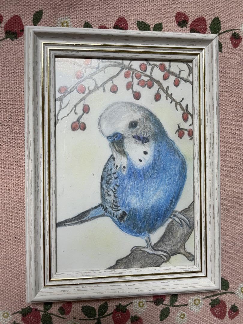Amazon.co.jp: 色鉛筆画 リアル可愛いセキセイインコ色鉛筆画 原画