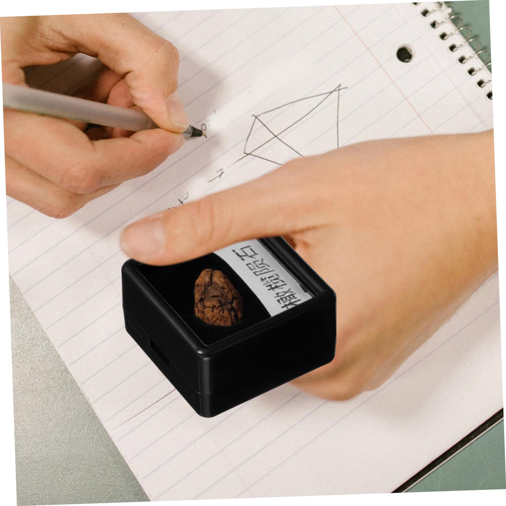 CATIEBYE Olive Meteorite Specimen Teaching Tool Small Meteorite Stones Meteorite Sample for Science Meteorite Model Science Ornament Classroom Teaching Specimen Meteorite Sample Ornament