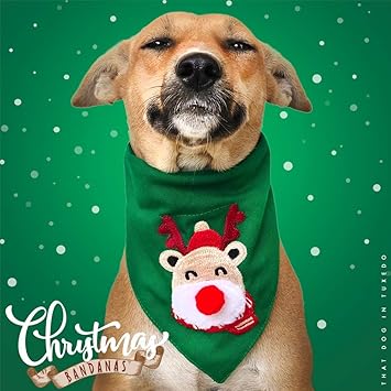 That Dog In Tuxedo Rudolf Reindeer Christmas Dog Embroidered Bandana with Adjustable/Removable Dog Collar -XL