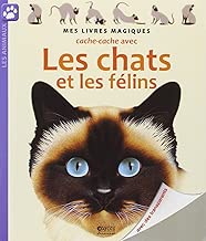 Download Cache-cache avec les chats et les félins|Mes livres magiques PDF