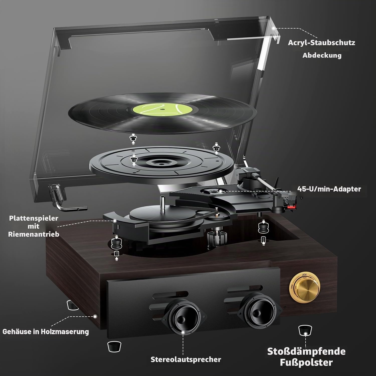 FYDEE Vintage Vinyl Plattenspieler mit integrierten Lautsprechern, Bluetooth 5.4 Vinyl-Player, 3 Geschwindigkeiten 33/45/78 Umdrehungen für 7/10/12 Zoll Schallplatten, RCA-Ausgang, Auto-Stop
