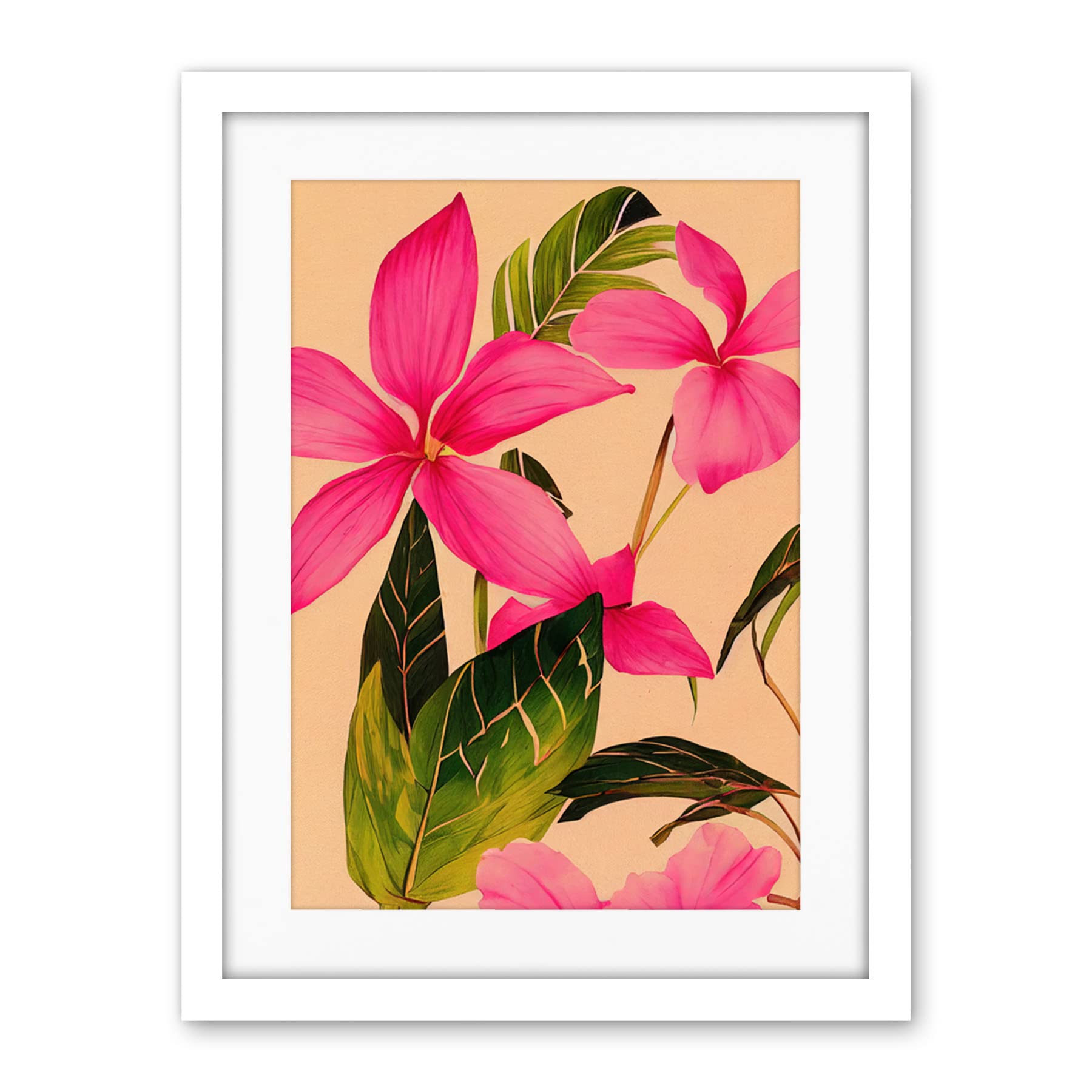 Wee Blue Coo Exotic Pink Plumeria Flower Plant Blooms Watercolour Pencil Illustration Artwork Framed Wall Art Print 18X24 Inch