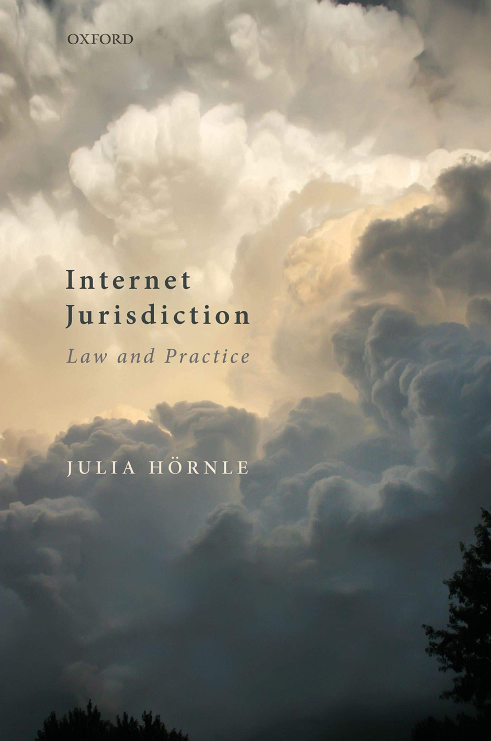 Internet Jurisdiction Law and Practice (English Edition)