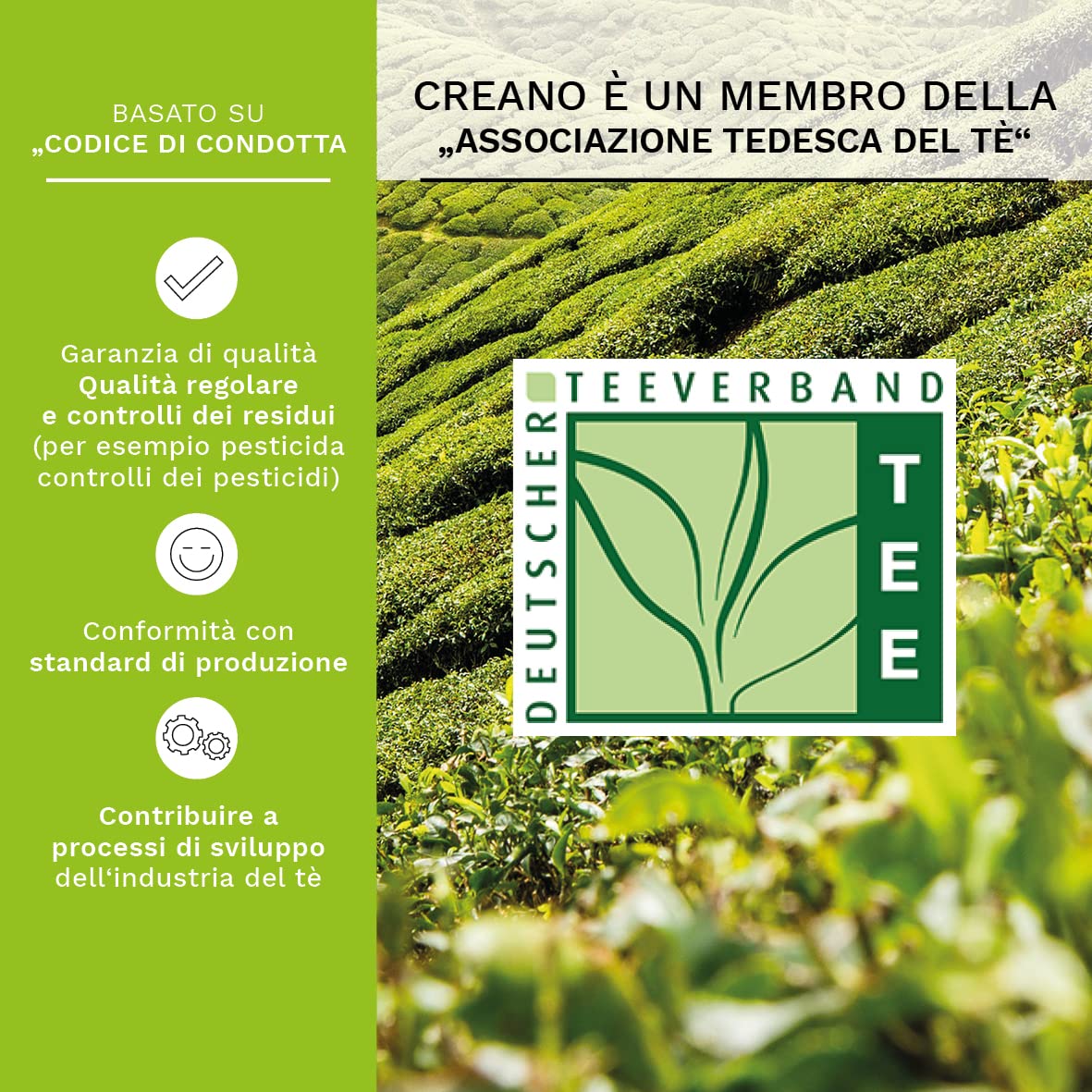 Creano Fiori di Tè Tèlini in un Formato di Tazza - Set regalo in una Scatola da Tè di legno - 12 fior di Tèlini di 4 Tipi diversi - Tè verde