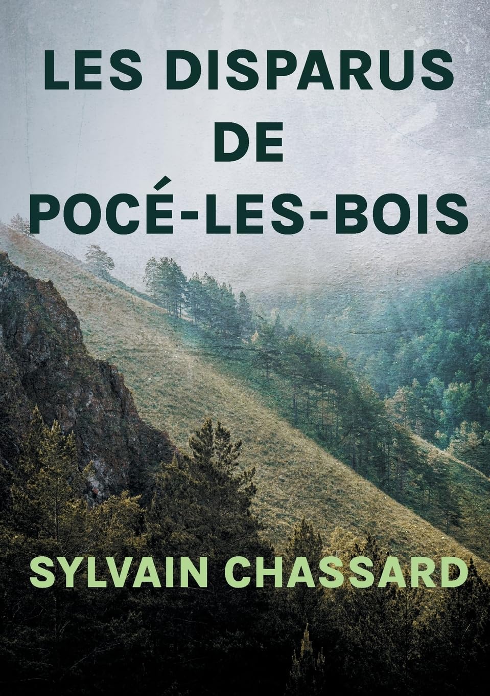 Les disparus de Pocé-les-Bois
