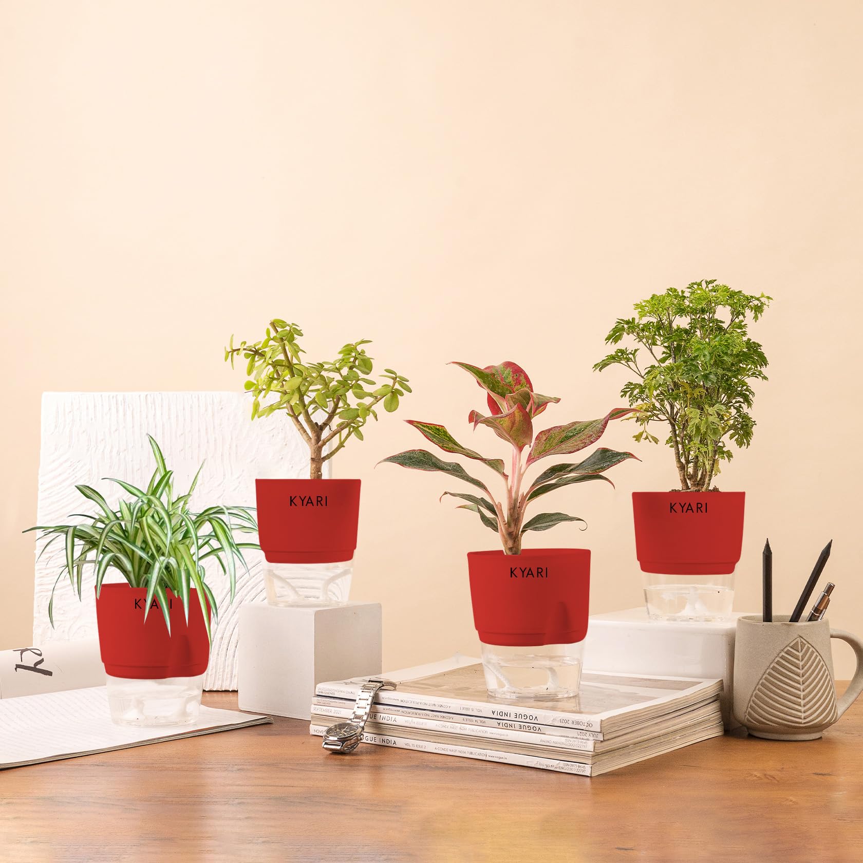 KYARI Jade-Spider-Aralia Green-Aglaonema Lipstick Combo of 4 Indoor Plants for Living Room | Live Plants | Plants with Red Pot for Home Air purifier plants | Plants for Home Decor | Plants for garden (B0CHYSFHTQ) Amazon Price History, Amazon Price Tracker
