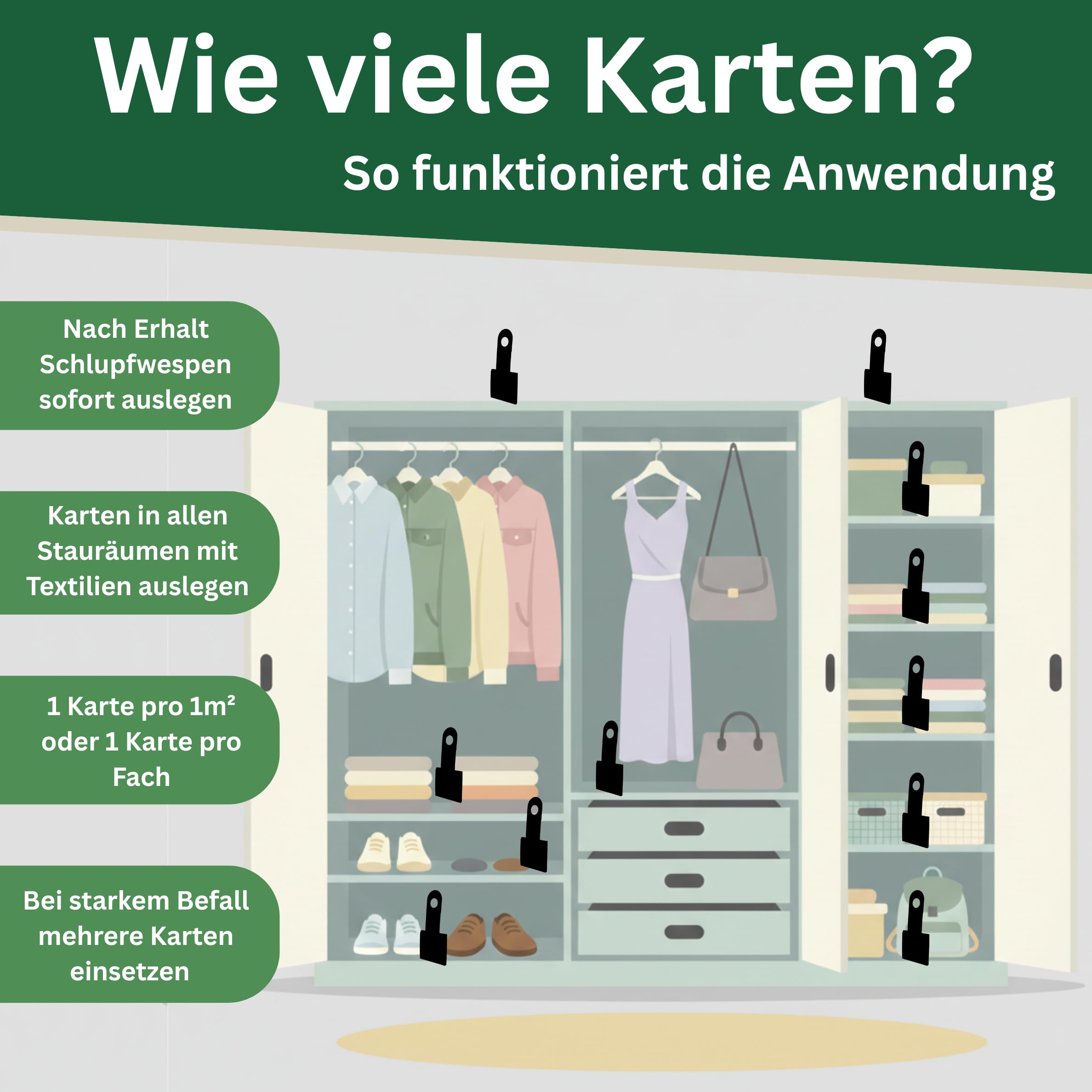 Schlupfwespen gegen Kleidermotten - XXL Menge, je 7000 Eier, 12 Karten | Schütze, was dir wichtig ist - frei von Motten und Sorgen. | Nur für kurze Zeit: 10 % Rabatt-Coupon