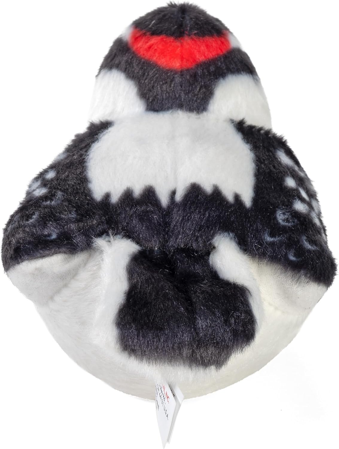 Woodpecker, Downy