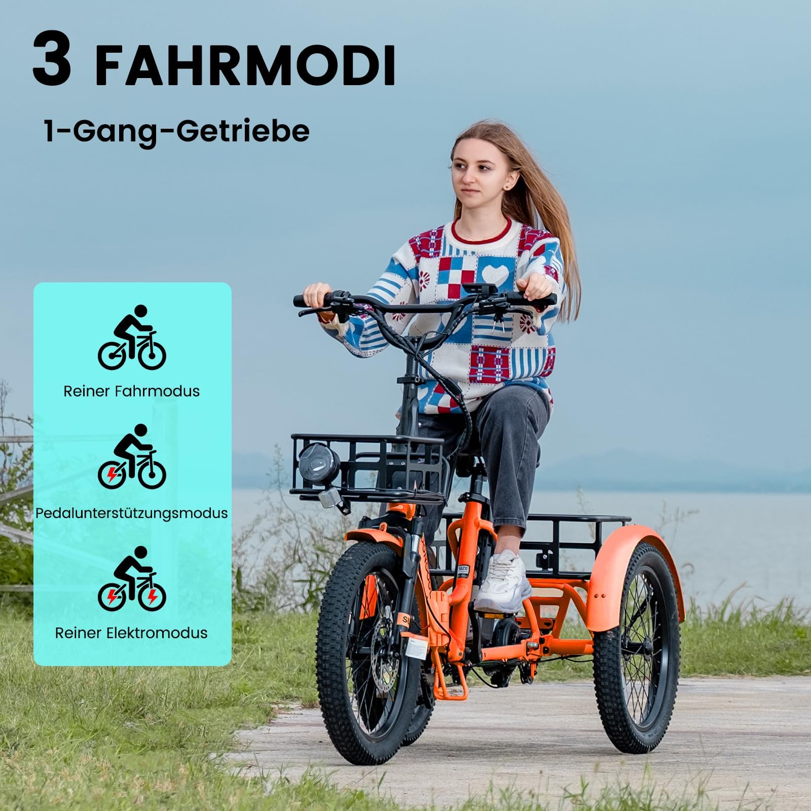 MOONCOOL E Bike Dreirad Klapprad, 20" Elektrofahrräder für Herren Damen, 36V 20AH Akku, 250W Motor 45 Nm, LCD-Display, IP65 Wasserdicht, 3 Fahrmodi, mit Großen Körben & Fußstützen