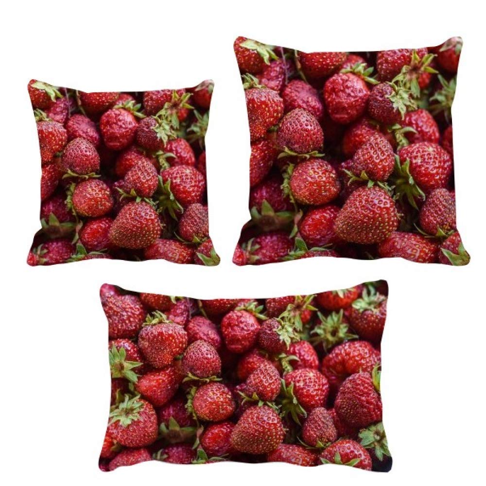 Housse de coussin fraises rouges lavable pour protéger et décorer