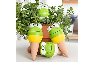 Terracotta Frog Water Dispenser: Keep Your Plants Hydrated with Charm