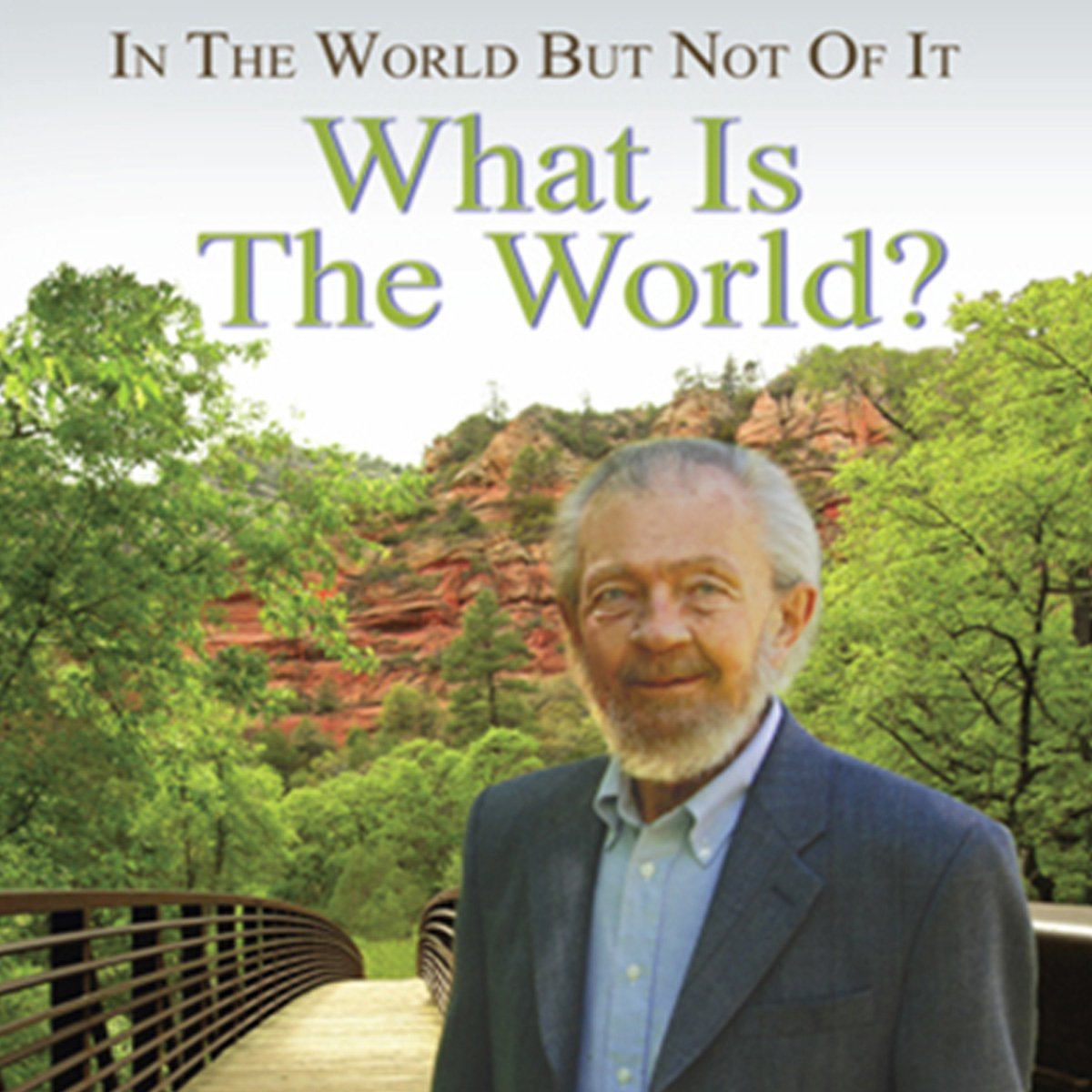 Cover art for In the World but Not of It: What Is the World?