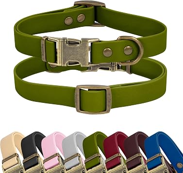 Wisedog Rubber Dog Collar for Medium Dogs, Green, S 10"-14" | Waterproof, Quick Release Metal Buckle, Easy to Clean, For Outdoor Use