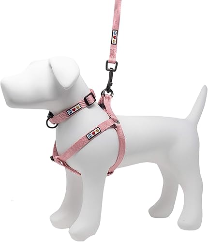 Miniatura 1 de Pawtitas Paquete económico  Arnés para perro pequeño + collar para perro pequeño + correa para perro extra pequeñapequeña de 6 pies - Juego de