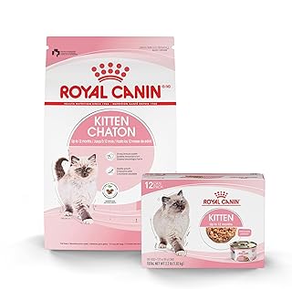 Royal Kitten Cat Food: Canned & Dry