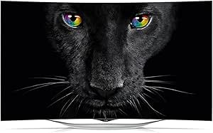 LG 55EC930V 139 cm (55 Zoll) Curved OLED Fernseher (Full HD, Triple Tuner, 3D, Smart TV)
