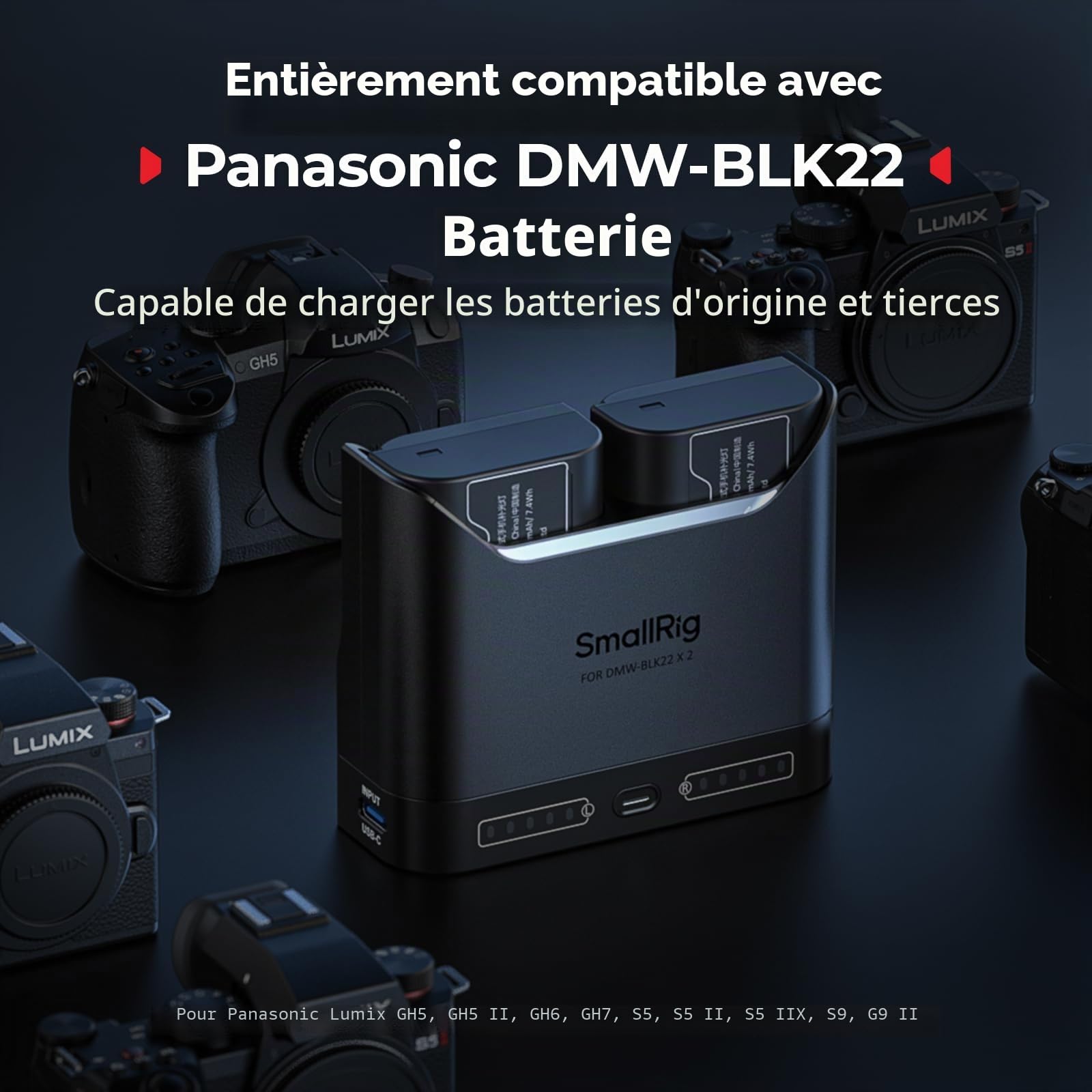 SMALLRIG DMW-BLK22 Kit de Batteries pour Panasonic, Chargeur Double 22,5 W, 1940 mAh, Compatible Lumix GH5 GH6 GH7 S5 S5 II S9 G9 II