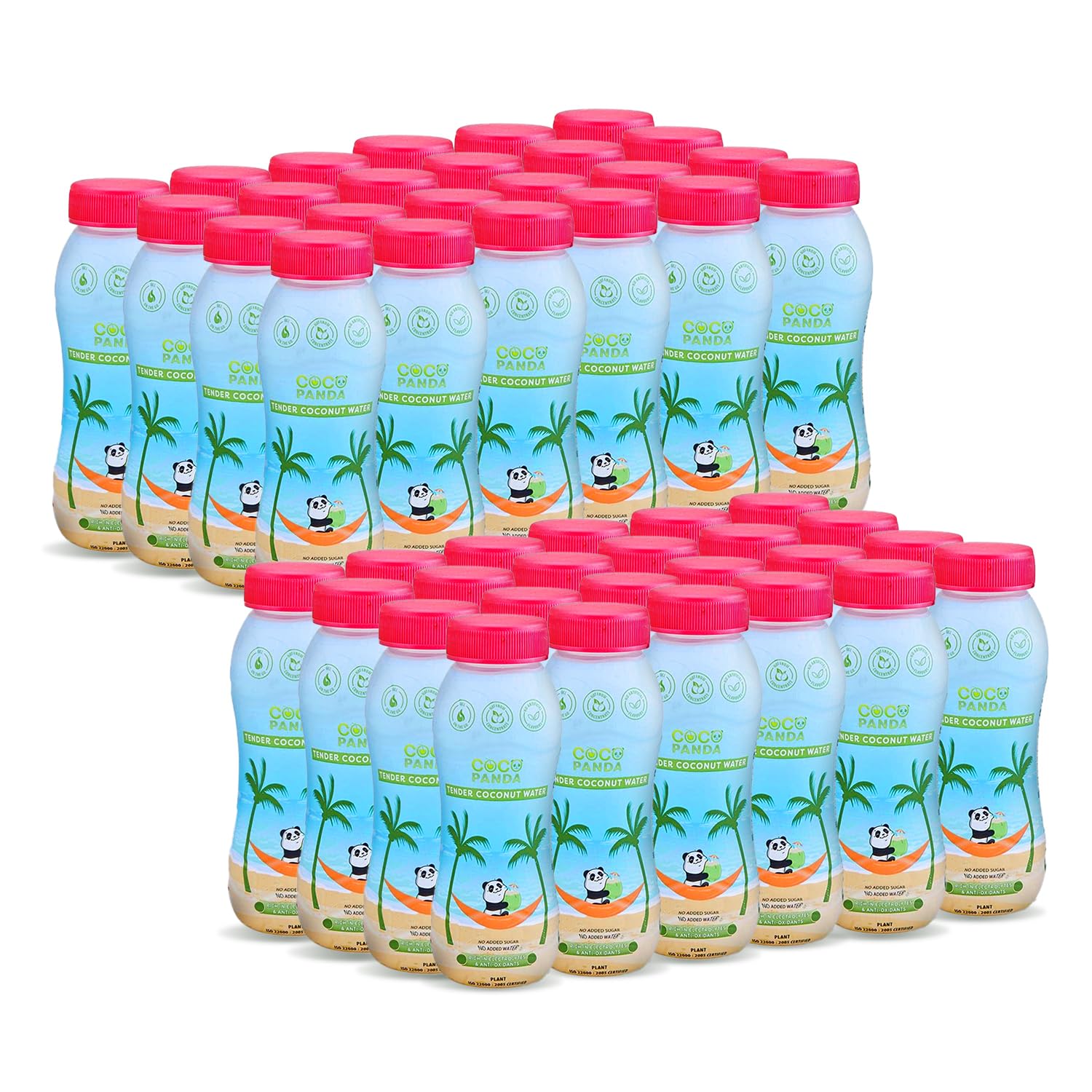 Coco Panda Real Tender Coconut Water - Pack of 48 (each 200 ml) | No Added Sugar or Artificial Flavor | Instant Hydration, Energy Booster (B0B59G144X) Amazon Price History, Amazon Price Tracker