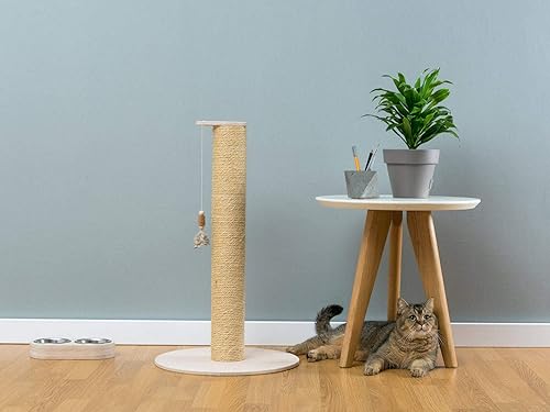 Miniatura 7 de Cuerda de yute natural de alta calidad de 0.236 in (14" 100 pies), libre de olor a petróleo, multitamaño, natural, biodegradable, cuerda de cáñamo,