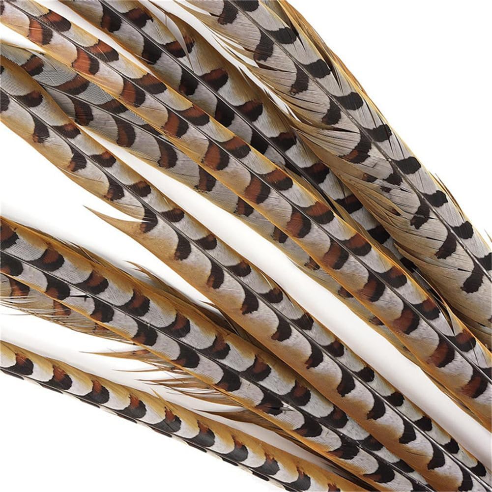 Natural Pheasant Feathers Crafts Long Large Reeves Venery Feather Performance Props Feather 50-55CM 20-22inch 10 Piece
