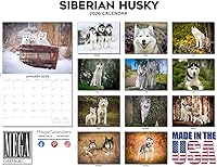 Vista 466 de Razas de Perros 2017