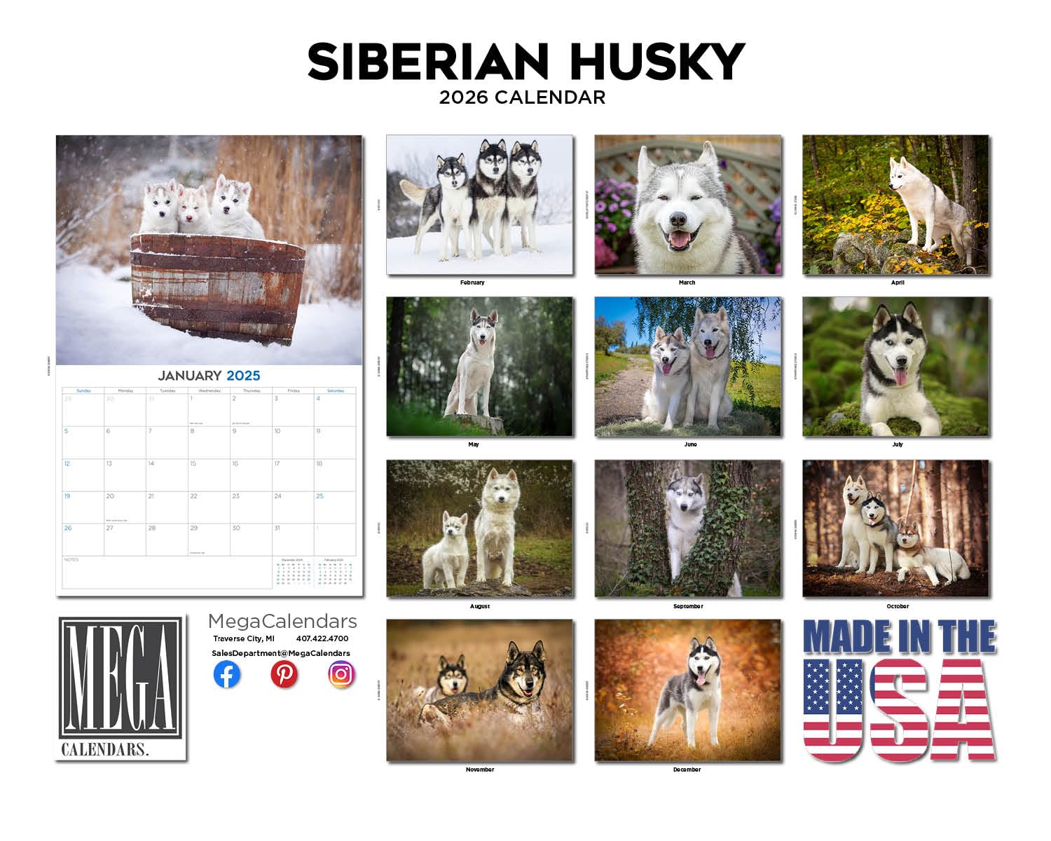 Kalendarz 2024 2025 Husky syberyjski, miesięczny kalendarz ścienny rasy psów, 30 x 45 cm, otwarty, gruby papier bez przebarwień, prezent - akademicki planer nauczyciela kalendarz organizowanie i