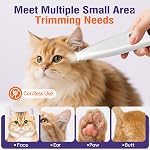 Chien Paw Trimmer avec LED Light, Paw Trimmer pour chiens 0.8inch/20mm Lame large, Kit de grooming pour les cheveux d'animal avec pince à ongles de chien, Pistolet électrique sans fil de g Rooming pour pattes, oreilles, visage, rouille (White-02)