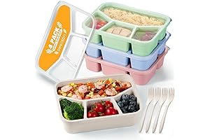 4 Pack Bento Lunch Box: The Ultimate Mealtime Companion