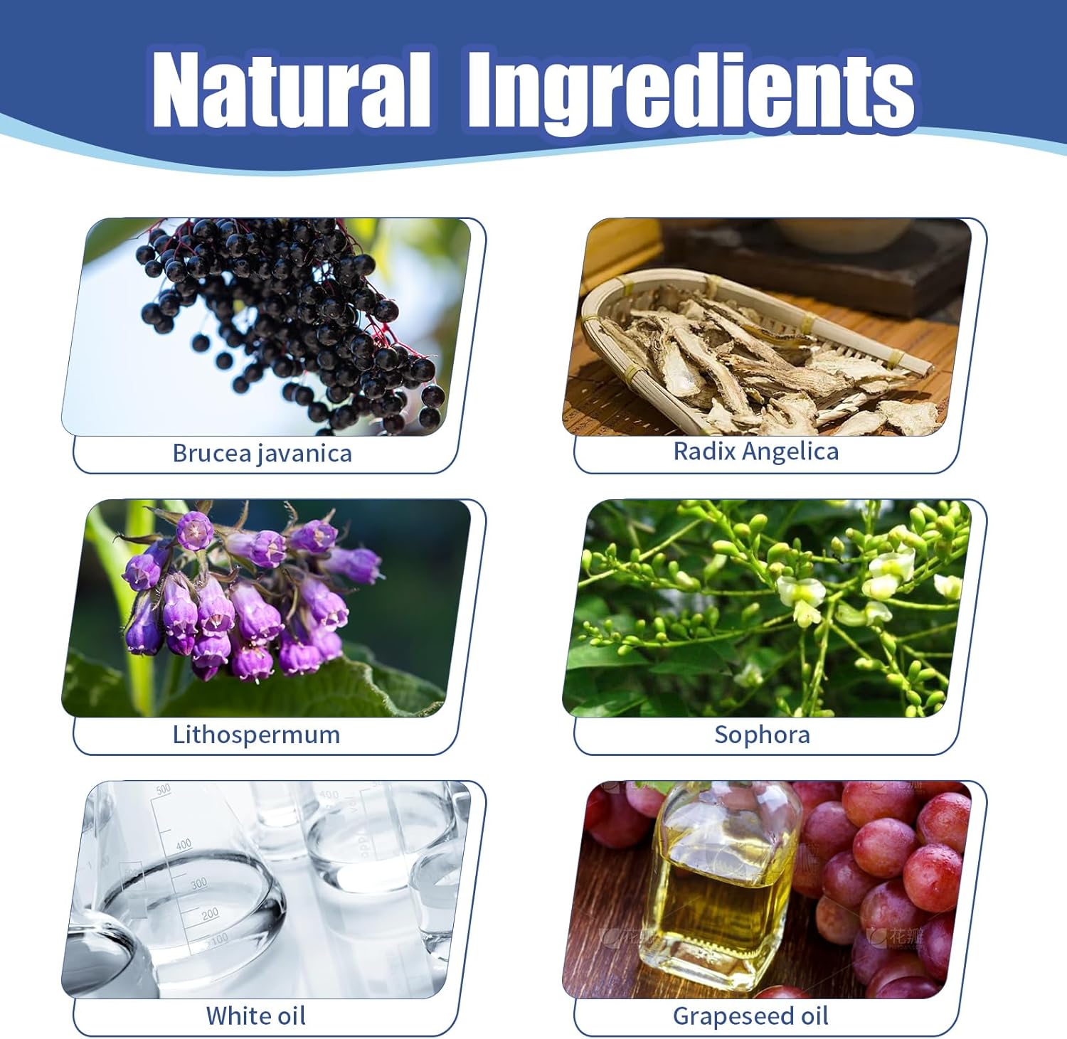 Fast-Acting Wart Remover Gel for Feet & Hands, Nature Plant-Based Formula - Genital, Common Warts & Plantar wart Remover, Safe for Kids & Sensitive Skin, Non-Invasive Home Care - Image 5