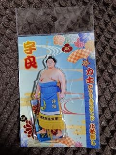 大相撲 宇良 アクリルスタンド アイドル お笑い タレント 芸能人グッズ
