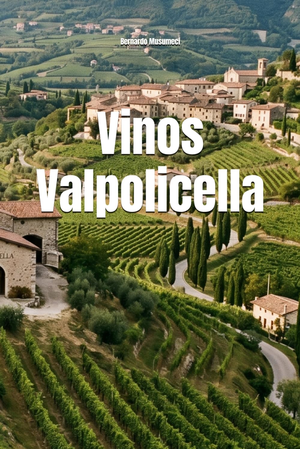 Vinos Valpolicella (Wines of the World: Italy)