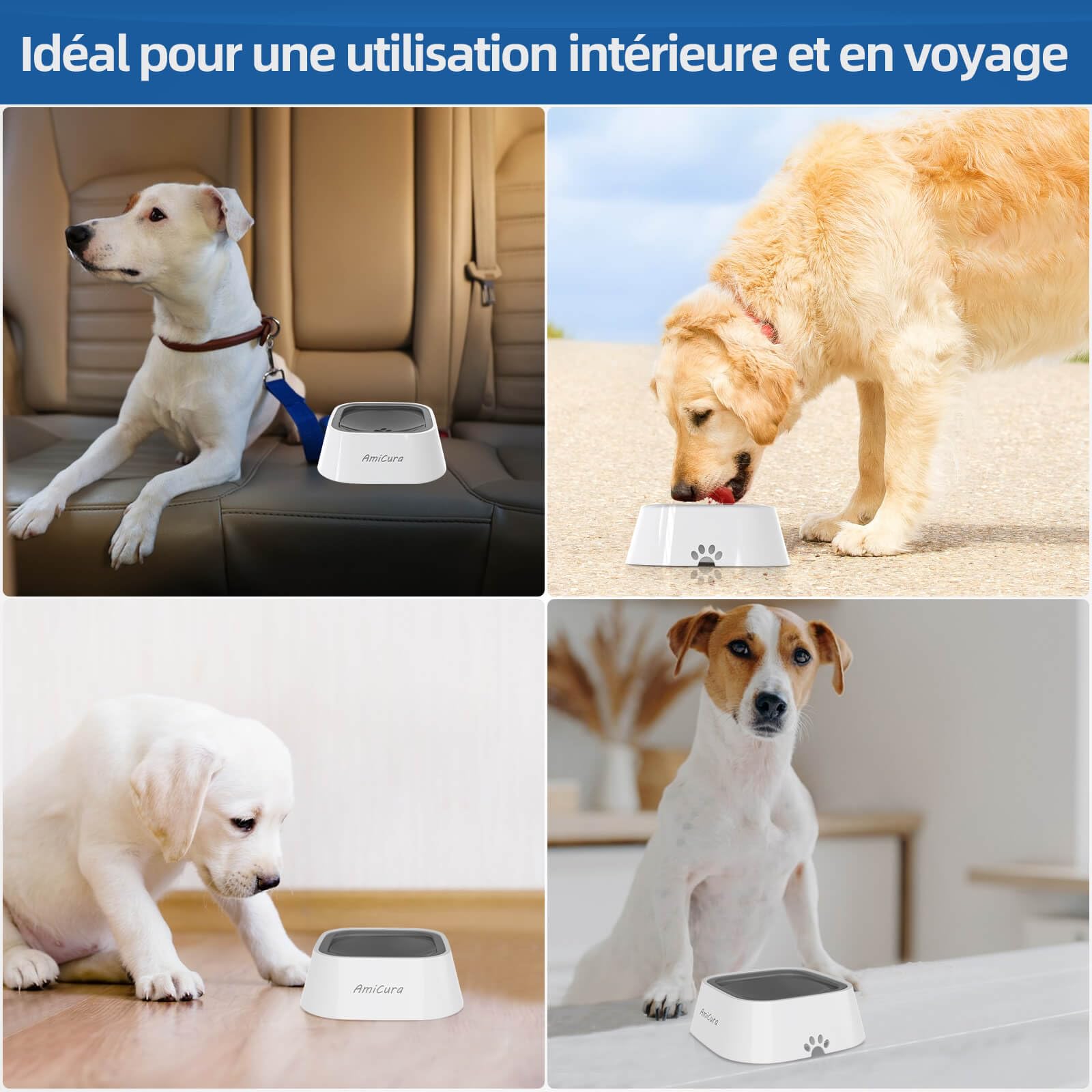 Amicura Gamelle Anti Fuite, Gamelle Eau Chien Anti Éclaboussure pour Chien Chat Chiot Cocker, Grande Capacité 1L Anti Glouton, No-Spill Gamelle d'eau Flottante pour Animal Voyage