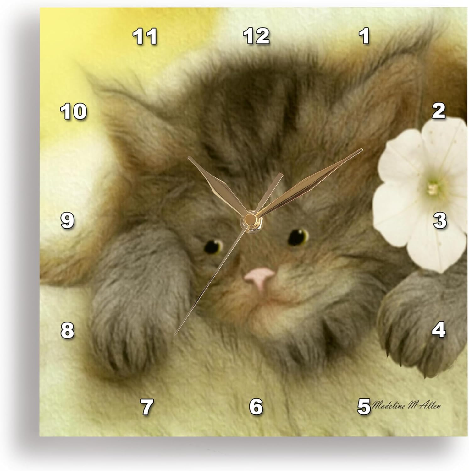 3dRose DPP_15727_1 Wall Clock, Cat H, 10 by 10-Inch
