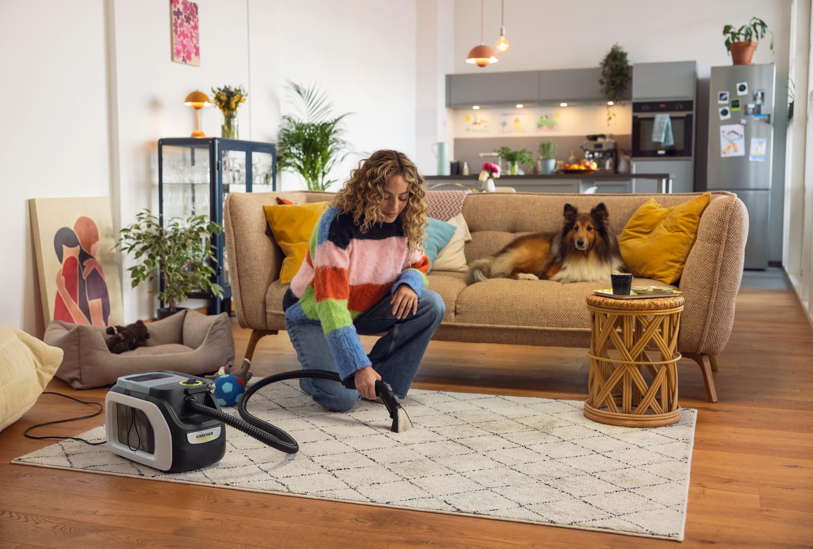 Kärcher Waschsauger SE 3 Compact Home Shoe N1, Aufnahmeleistung: 500 W, Frischwassertank: 1,7 l, Fläche: 2,76 m2, Gewicht: 4,1 kg, inkl. Shoe!Cleaner, Waschfugendüse und natürlichem Reinigungsmittel