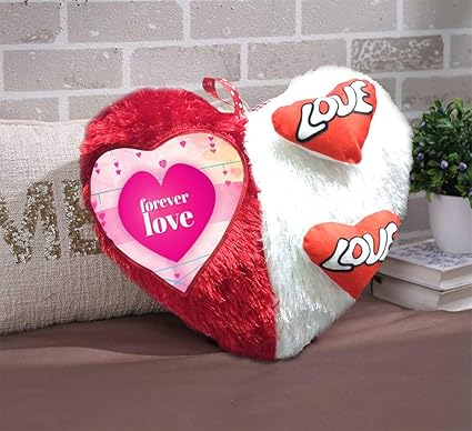 DreamVio Love Heart Shape Valentine Day Gift Fur Cushion,Plush Pillow for Gifting on Birthdays,Anniversaries Color - Red, White (Size- 17x17 inch) Shape 3