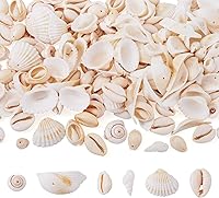 Vista 25 de Cheriswelry 50 cuentas de concha en espiral natural blanca, conchas marinas, cuentas espaciadoras de playa, dijes de conchas de cauri, cuentas