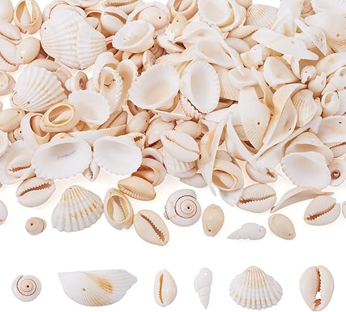 Vista 130 de Cheriswelry 50 cuentas de concha galvanizadas, conchas de cauri en espiral, conchas de mar, verano, playa, cuentas espaciadoras sueltas