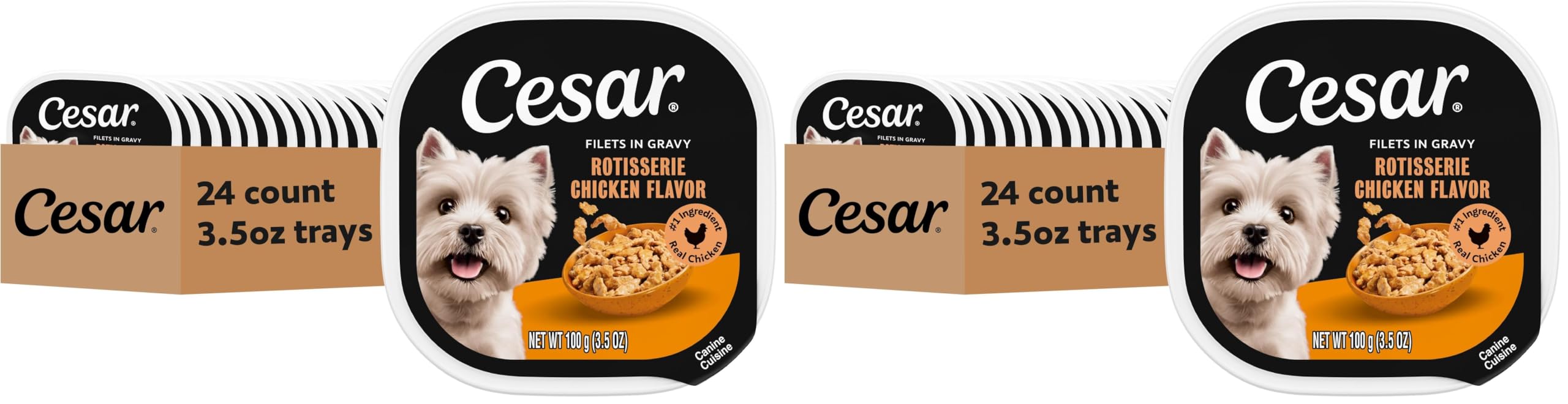 Cesar Filets in Gravy, Adult Wet Dog Food, Rotisserie Chicken Flavor, Wet Food for Dogs, 3.5 oz Trays, 24 Count (Pack of 2)
