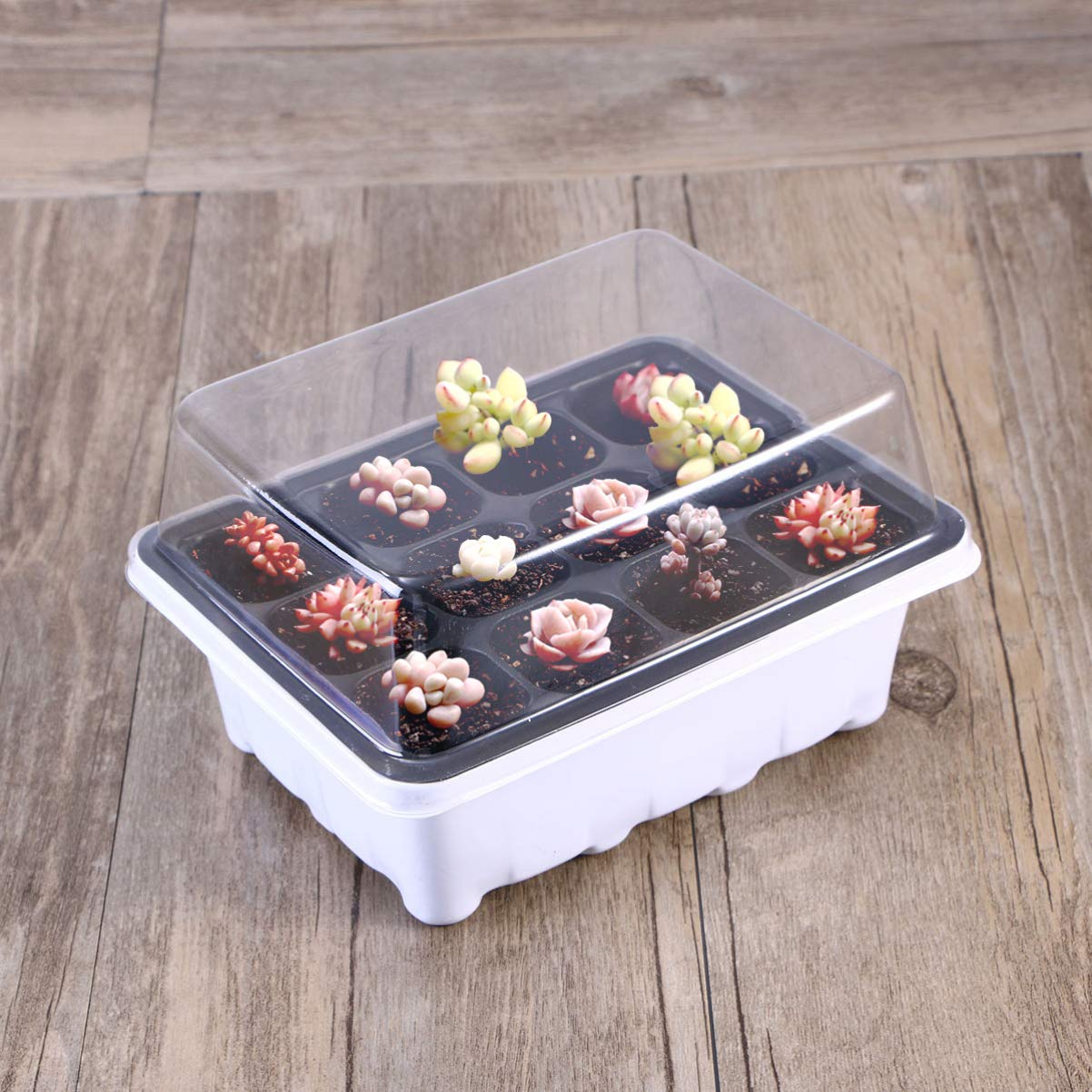 Happyyami Lot de 10 Plateaux De Culture pour Plantes D'intérieur avec Drainage pour Un Une Culture Faciles